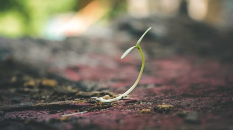 How Much PR Potential Is There for Your Startup?